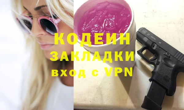 спиды Богданович