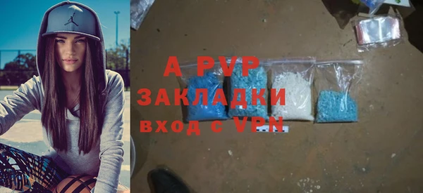 спиды Богданович