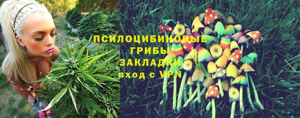 спиды Богданович