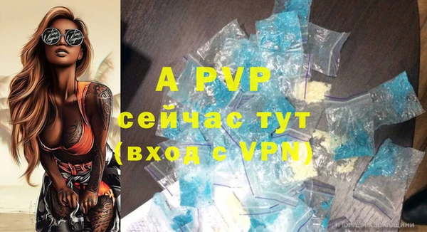 спиды Богданович