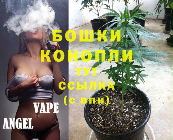 спиды Богданович