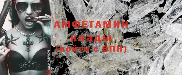 спиды Богданович