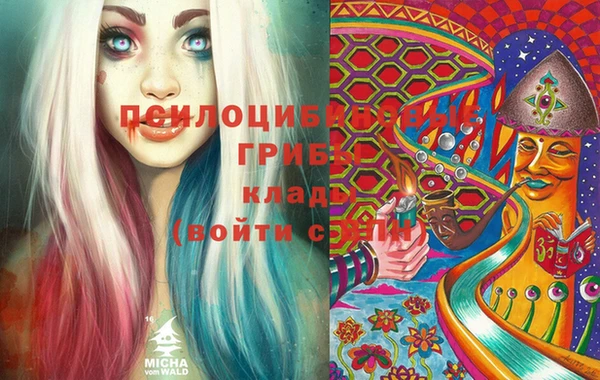 экстази Богородицк