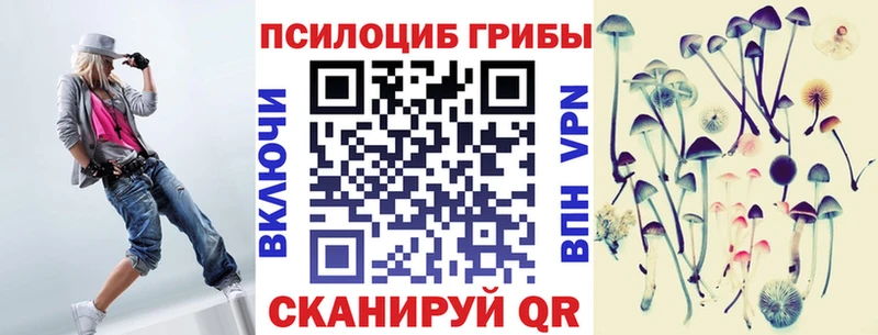 Псилоцибиновые грибы Psilocybe  Коммунар 